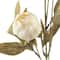 Cream Peony Stem by Ashland®